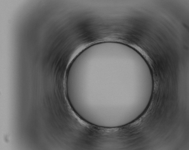 X0000093471294200710121003