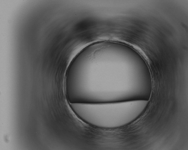 X0000093471295200710121003