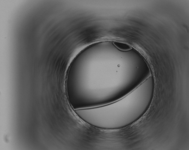 X0000093471296200710121003