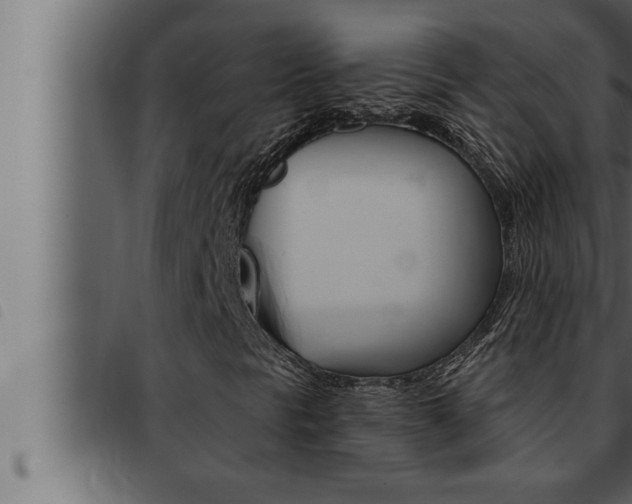 X0000093471297200710121002