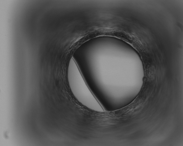 X0000093471301200710121002