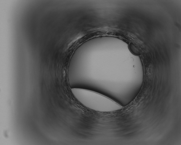 X0000093471302200710121002