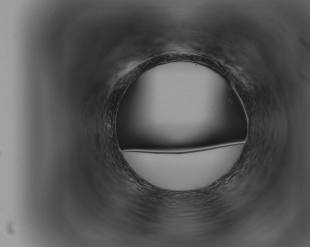 X0000093471303200710121002