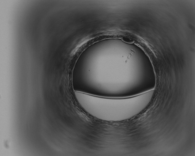 X0000093471304200710121002