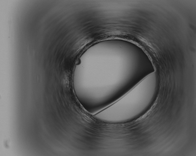 X0000093471305200710121002