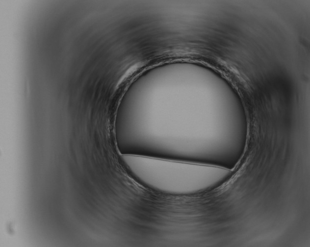 X0000093471306200710121002