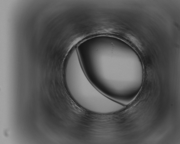 X0000093471308200710121002