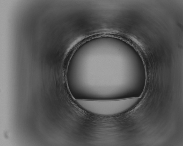 X0000093471310200710121002