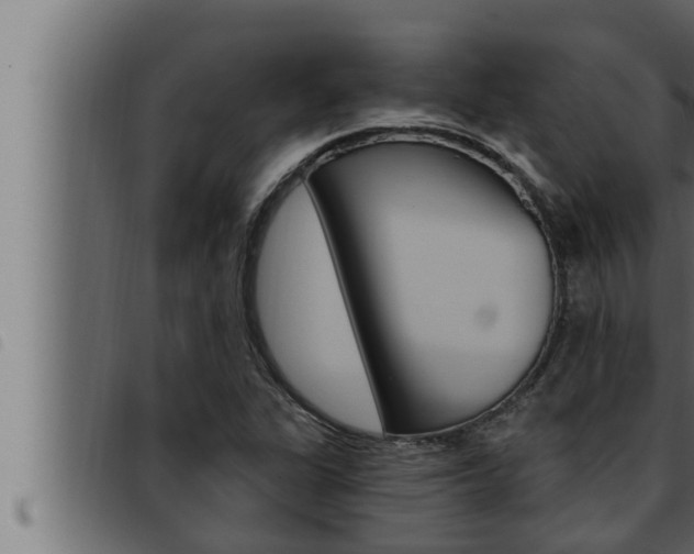 X0000093471311200710121002