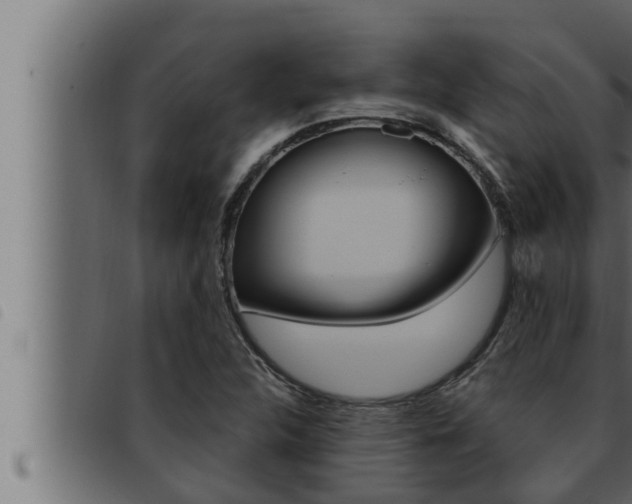 X0000093471312200710121002