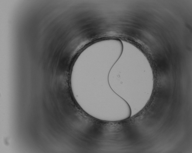 X0000093471314200710121002
