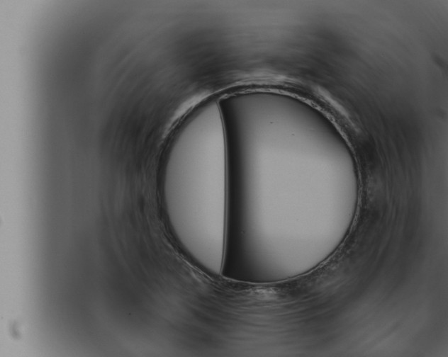 X0000093471315200710121002