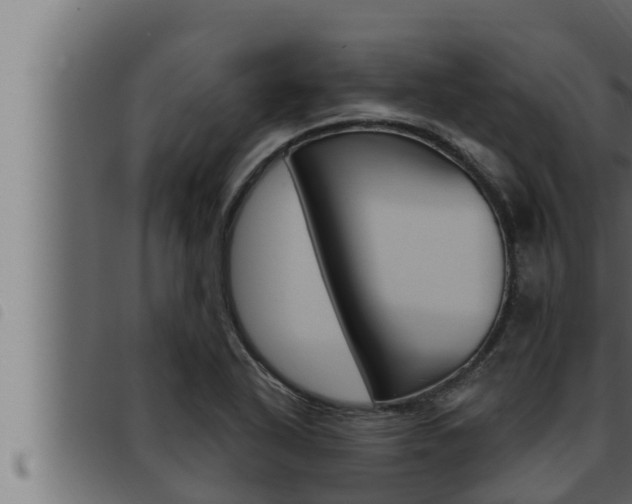 X0000093471318200710121002
