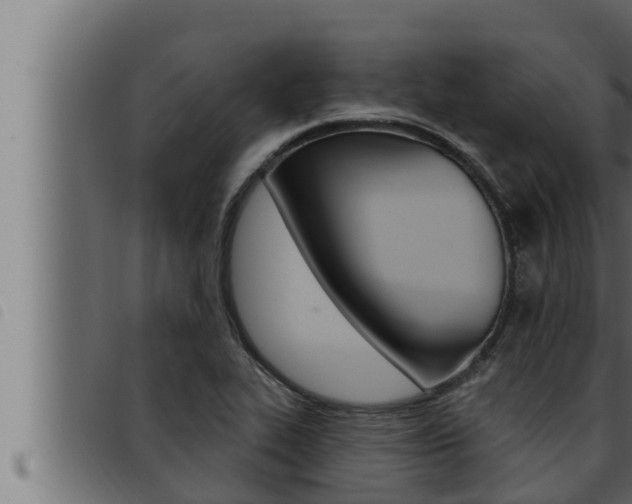 X0000093471319200710121002