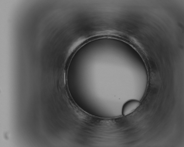 X0000093471320200710121002