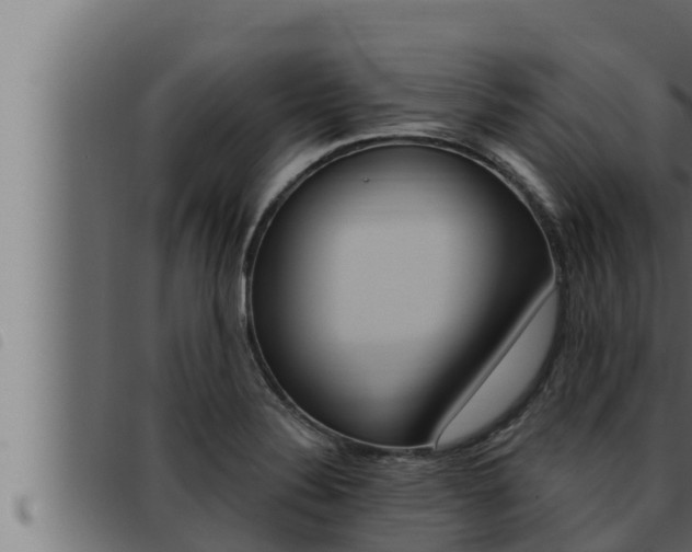 X0000093471324200710121002