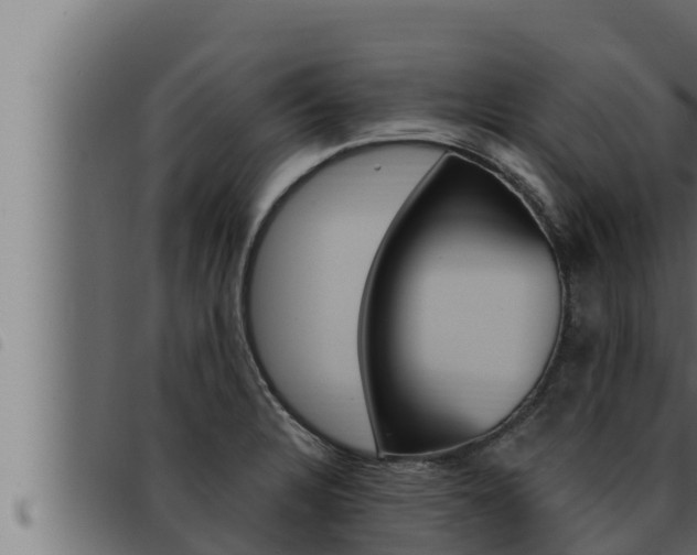 X0000093471328200710121002