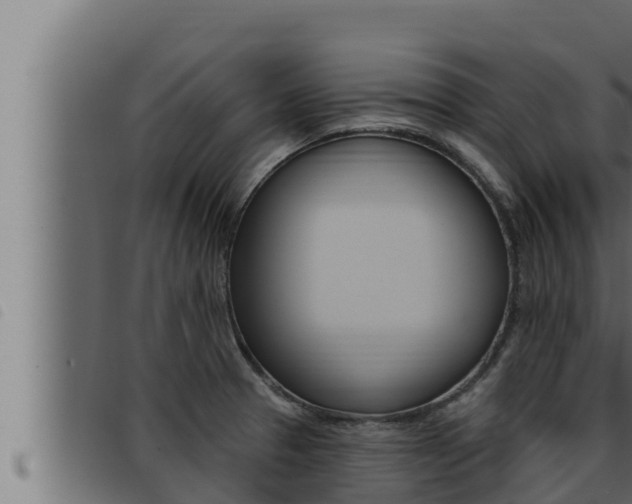 X0000093471329200710121003