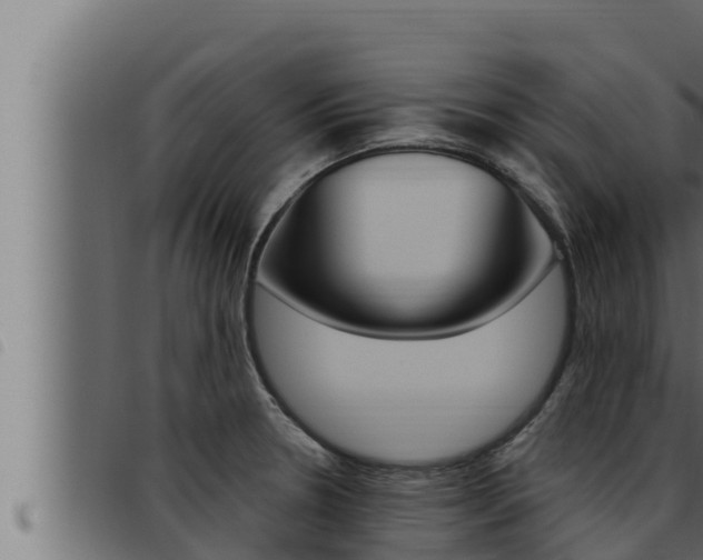 X0000093471330200710121003