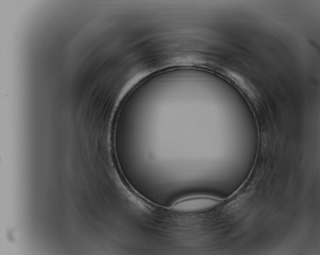 X0000093471331200710121003