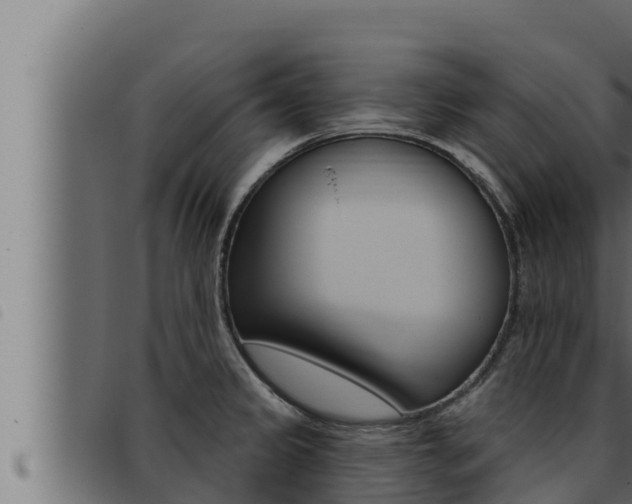 X0000093471333200710121003