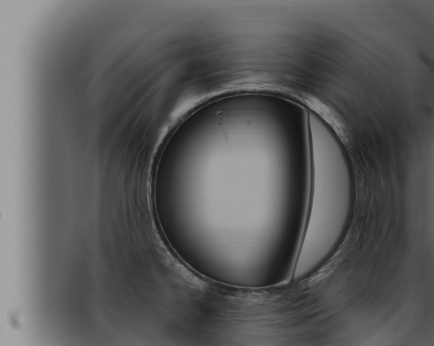 X0000093471334200710121003