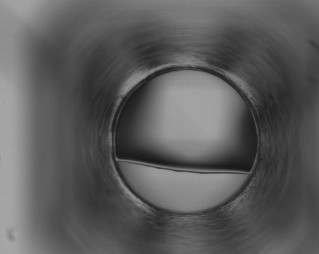X0000093471335200710121003