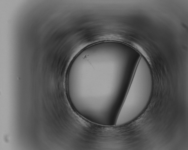 X0000093471339200710121003