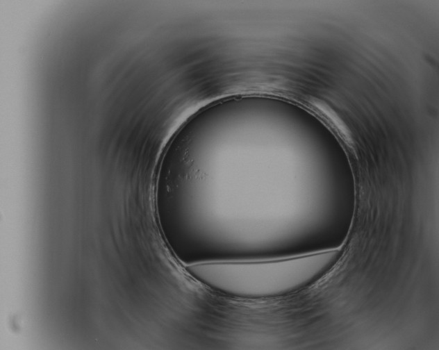 X0000093471340200710121003