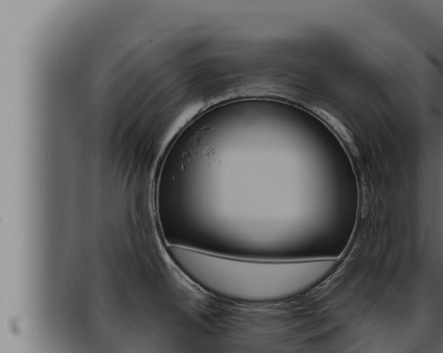 X0000093471342200710121003