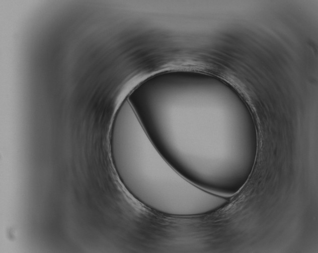 X0000093471344200710121003