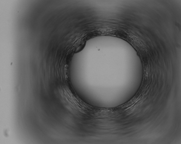 X0000093471346200710121002