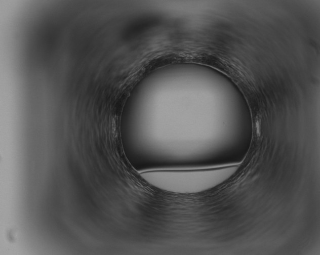 X0000093471347200710121002