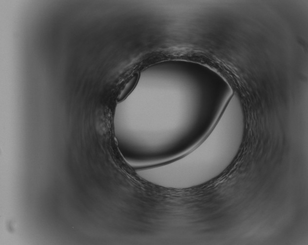 X0000093471349200710121002