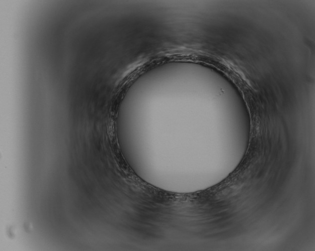 X0000093471350200710121002