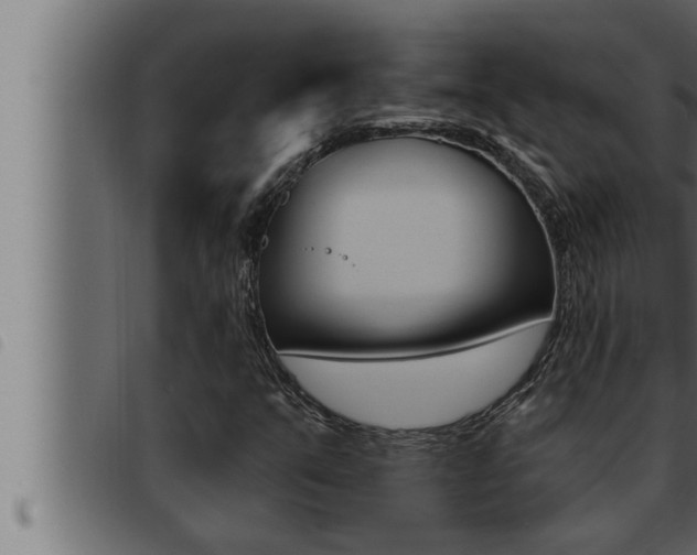 X0000093471351200710121002