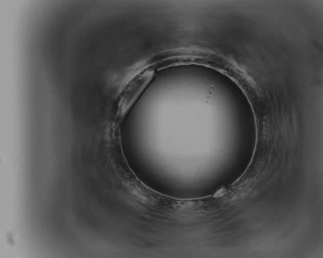 X0000093471352200710121002
