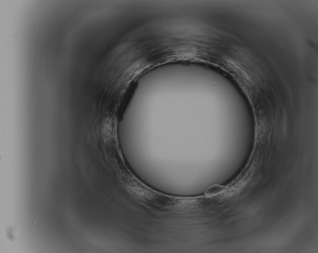 X0000093471353200710121002