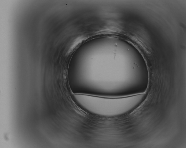 X0000093471355200710121002