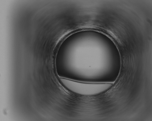 X0000093471356200710121002