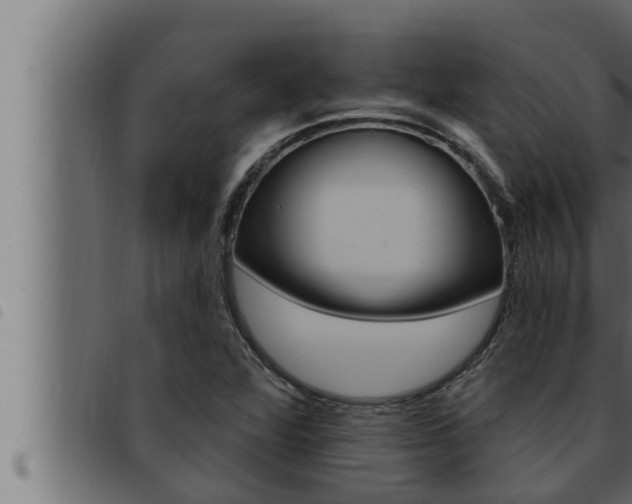 X0000093471360200710121002
