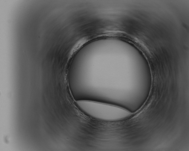 X0000093471362200710121002