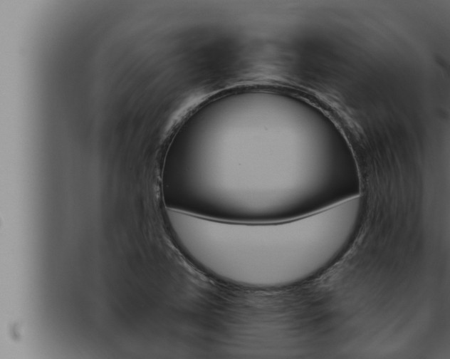 X0000093471363200710121002
