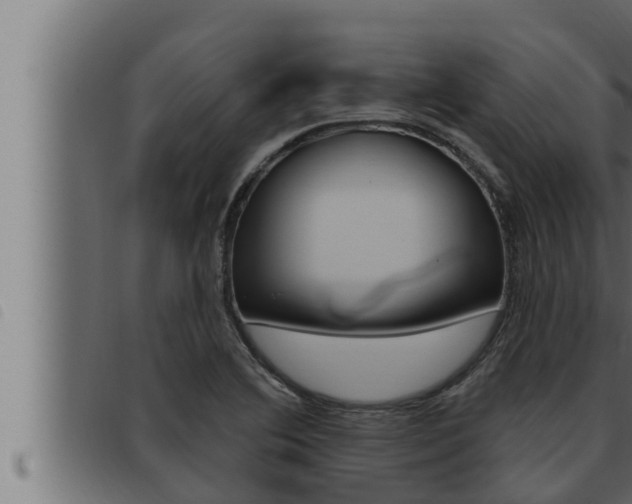 X0000093471364200710121002