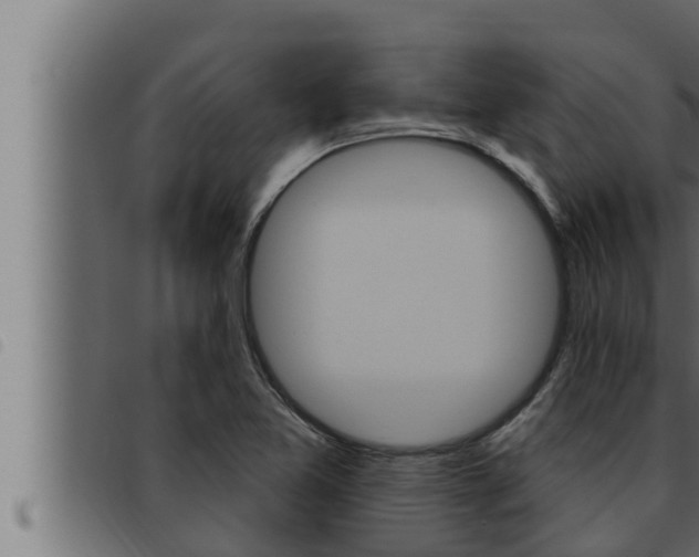 X0000093471365200710121002