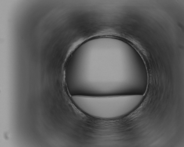 X0000093471366200710121002