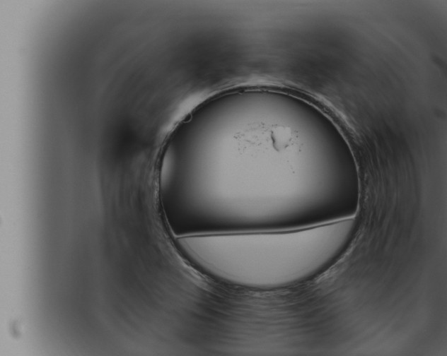 X0000093471367200710121002