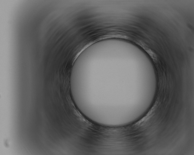 X0000093471369200710121002