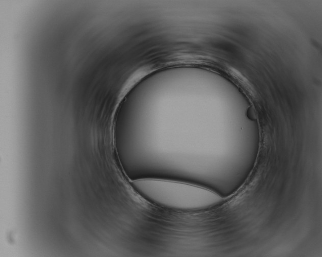 X0000093471370200710121002