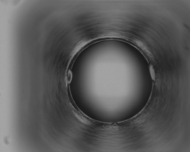 X0000093471372200710121002